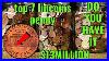 Top_7_Most_Valuable_Pennies_In_Circulation_Rare_Pennies_In_Your_Pocket_Change_01_en