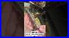 Truphae_Tuesday_See_The_New_Pre_Owned_Arrivals_Ink_Pen_Journal_01_khl