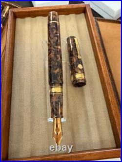 VERY RARE Armando Simoni Club (ASC) Bologna Extra Blue Saffron 14kt Gold Nib