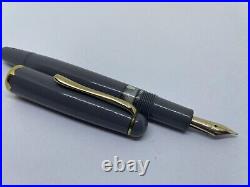 VERY RARE GREY Montblanc Monte Rosa 042 Fountain Pen- PISTON- 14k F Nib- 342 344