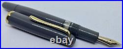VERY RARE GREY Montblanc Monte Rosa 042 Fountain Pen- PISTON- 14k F Nib- 342 344