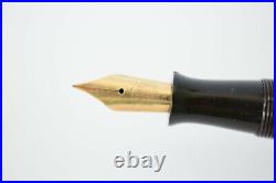 VERY RARE VINTAGE GERMANY OVER SIZE FOUNTAIN PEN ORIGINAL N6 14K GOLD NIB 1930s