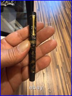 VINTAGE Rare MONTBLANC MONTE ROSA FOUNTAIN 43 marble gold nib 14k