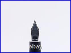 Vintage 1970s Pilot Grandum Fountain Pen 14K Fine Nib, Near Mint Rare