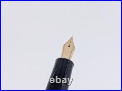 Vintage 1970s Pilot Grandum Fountain Pen 14K Fine Nib, Near Mint Rare
