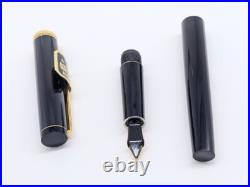 Vintage 1970s Pilot Grandum Fountain Pen 14K Fine Nib, Near Mint Rare