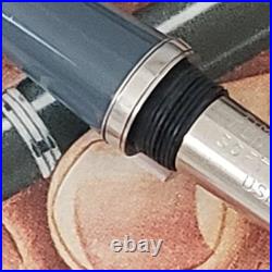 Vintage Parker 41 Fountain Pen Steel Fine Nib Grey New Pen Very Rare USA