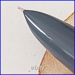 Vintage Parker 41 Fountain Pen Steel Fine Nib Grey New Pen Very Rare USA
