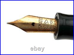 Vintage RARE RADIUS PRISMATICA ARCO Celluloid OS Fountain Pen 14K Med flex nib