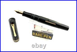 Vintage RARE RADIUS PRISMATICA ARCO Celluloid OS Fountain Pen 14K Med flex nib