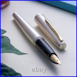 Vintage Rare 1970s Pilot Elite STERLING SILVER 22K Gold Soft Nib Fountain Pen Vintage Rare 1970s Pilot Elite STERLING SILVER 22K Gold Soft Nib Fountain Pen