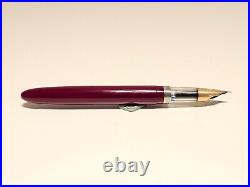 Vintage Rare Early Collectible China Fountain Pen Lucky With Big 12k Gold Nib