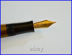 Vintage Rare! Lloyd Celluloid Fountain Pen, Lloyd 14 Karat Gold Nib