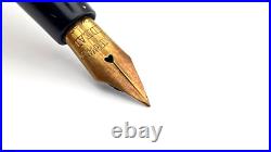 Vintage The Ten Year Fountain Pen In Filigree 14k Fine Nib Made In USA Very Rare